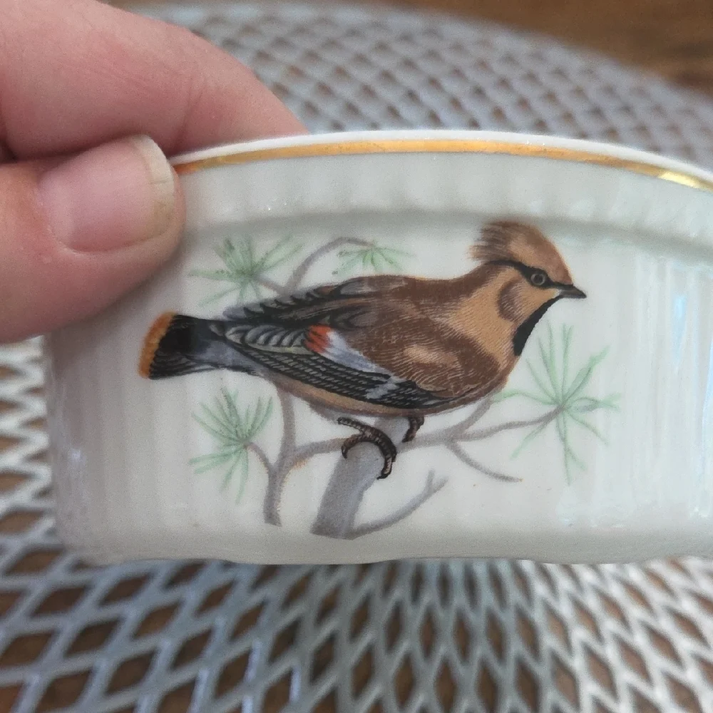 Elegant Bird Design Ceramic Bowl